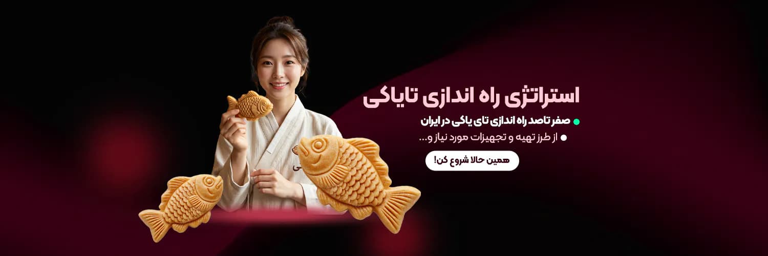 استراتژی راه اندازی تای یاکی استراتژی راه اندازی تای یاکی